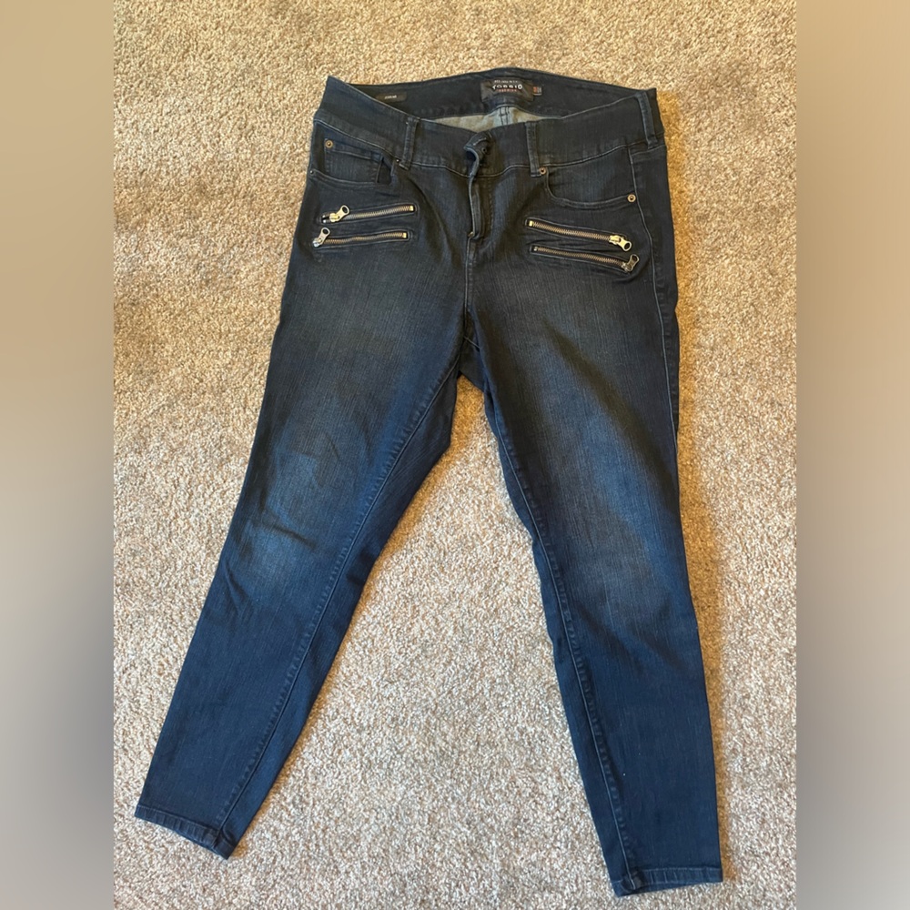 Torrid Double Zipper Skinny Jeans